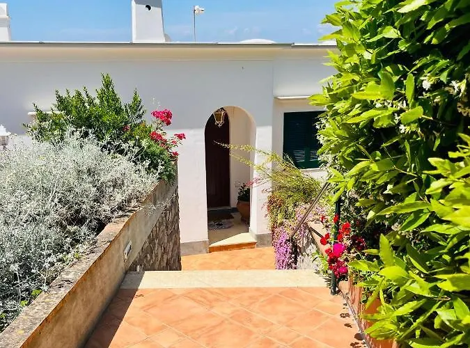 Bed & Breakfast L'agapanto Capri