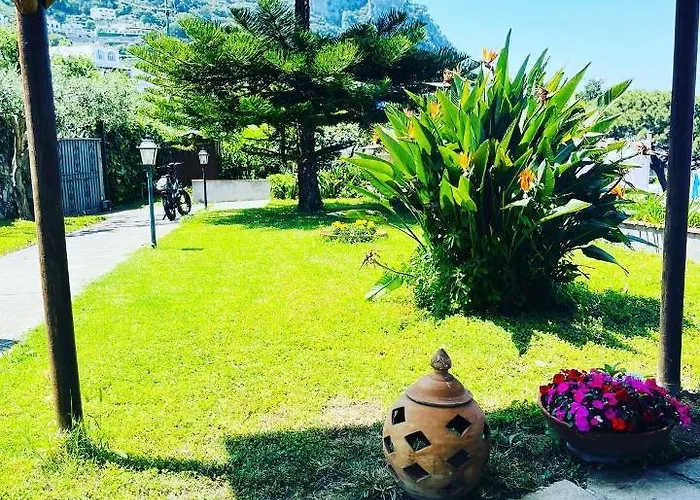 Bed & Breakfast L'agapanto Capri