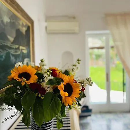 Bed & Breakfast L'agapanto