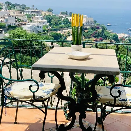 L'agapanto Capri