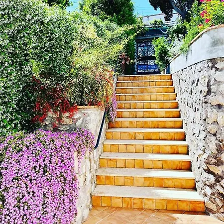 L'agapanto * Capri