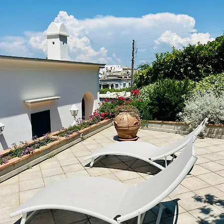 Bed & Breakfast L'agapanto