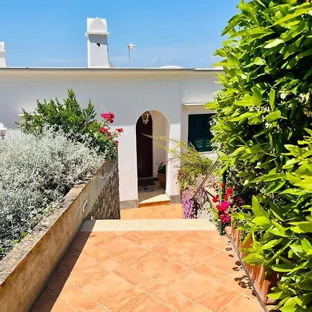 Alojamento de Acomodação e Pequeno-almoço L'agapanto Capri