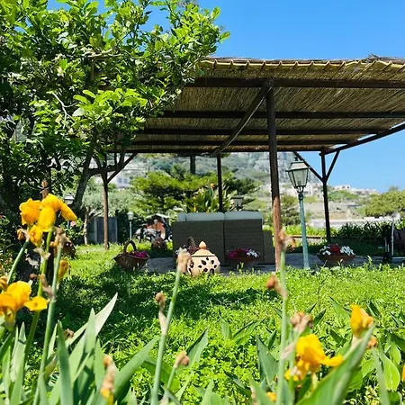 Bed & Breakfast L'agapanto