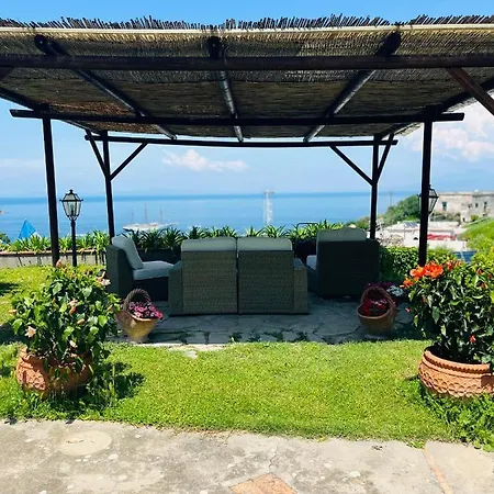 L'agapanto Capri