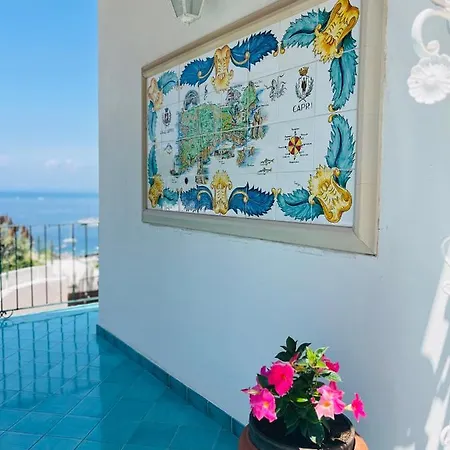 L'agapanto * Capri