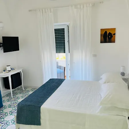 L'agapanto