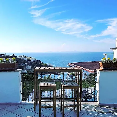 L'agapanto 4*