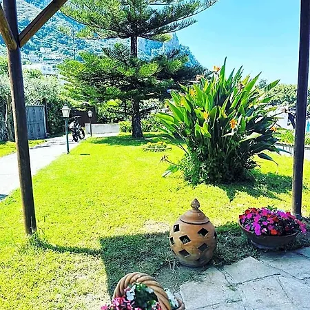 L'agapanto Nocleg ze śniadaniem Capri