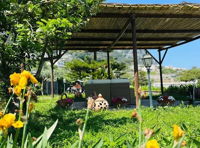 Bed and breakfast L'agapanto