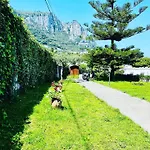 L'agapanto 4*
