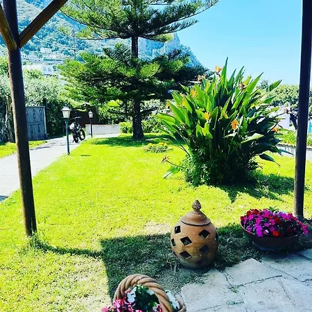 Bed and Breakfast L'agapanto Κάπρι